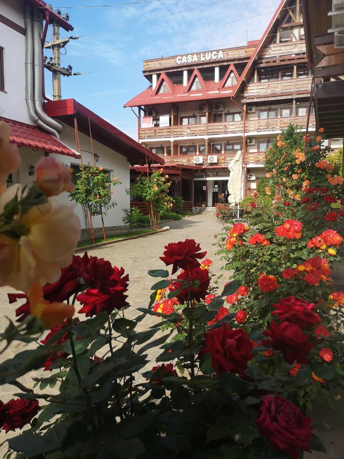 Casa Luca Hotel Vama Veche Bagian luar foto